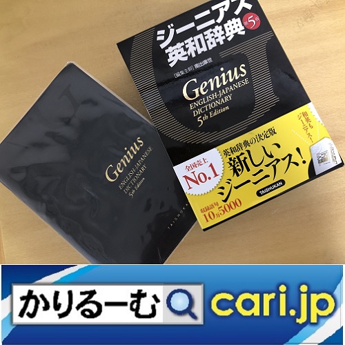 f:id:cari11:20201210150050j:plain