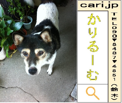 f:id:cari11:20210513140842j:plain