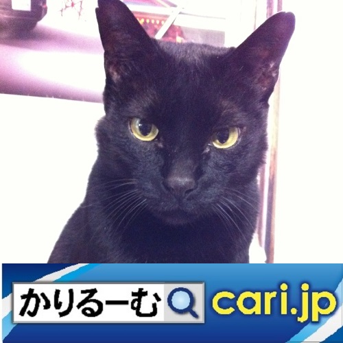 f:id:cari11:20210701080202j:plain