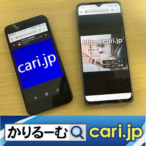 f:id:cari11:20211227080226j:plain