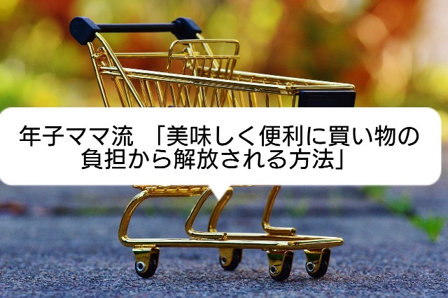 f:id:carino-mare-doo:20200529152210j:plain
