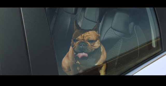 f:id:carislife:20150110144655j:plain f:id:carislife:20150110144655j:plain