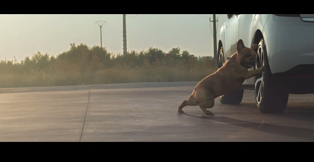 f:id:carislife:20150110144657j:plain f:id:carislife:20150110144657j:plain