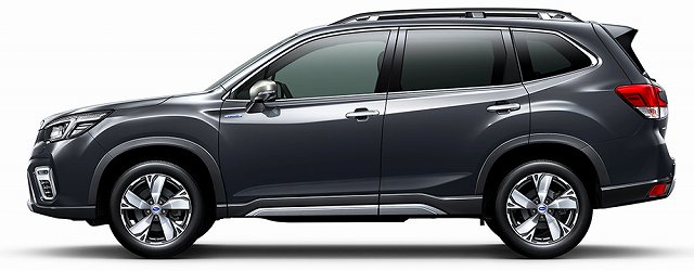 f:id:carislife:20190610135450j:plain f:id:carislife:20190610135450j:plain