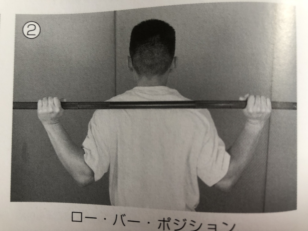 f:id:carisso:20190213154329j:plain