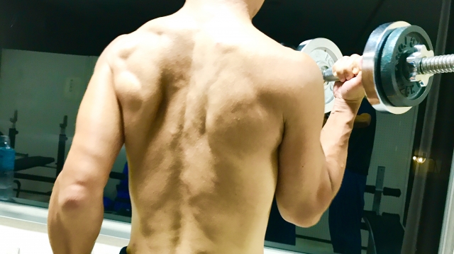 f:id:carisso:20190322134311j:plain