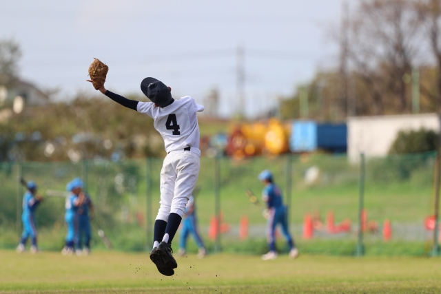 f:id:carisso:20190329121822j:plain