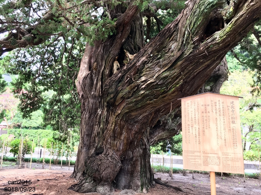 f:id:carl2015:20181014130351j:plain