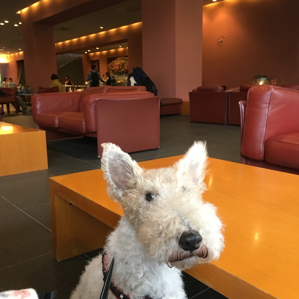 f:id:carl2015:20181103220921j:plain