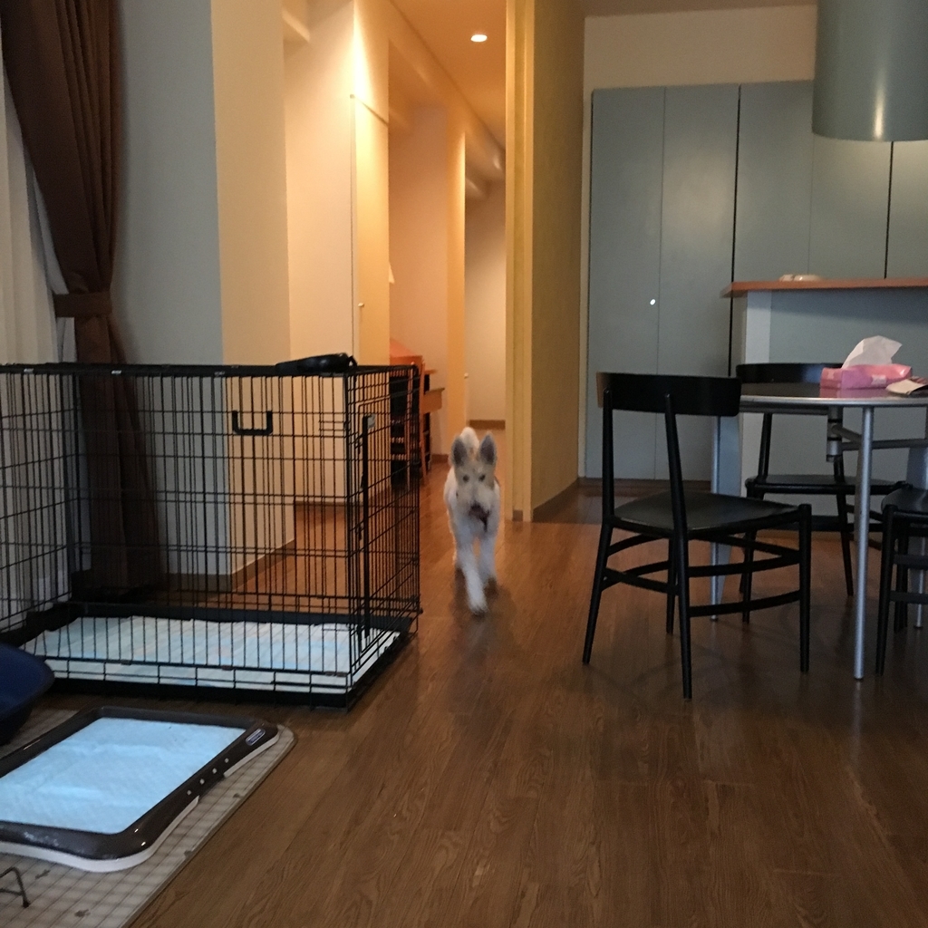 f:id:carl2015:20181103220940j:plain