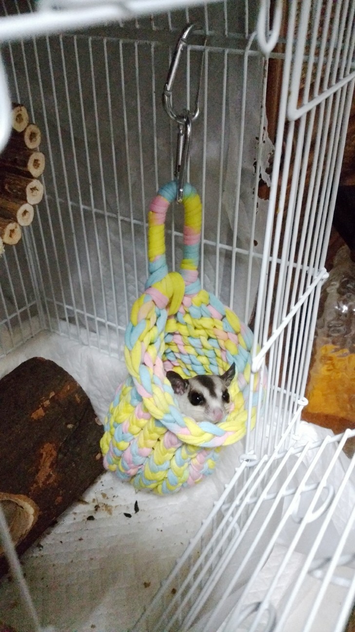 f:id:carmineBE0039:20180603101837j:plain