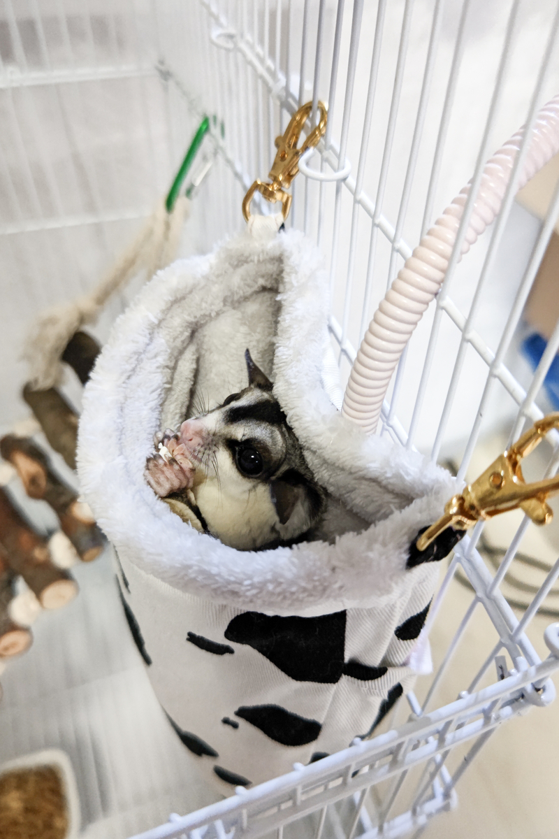 フクロモモンガのケージはこれが良い！ - 小動物と猫と犬