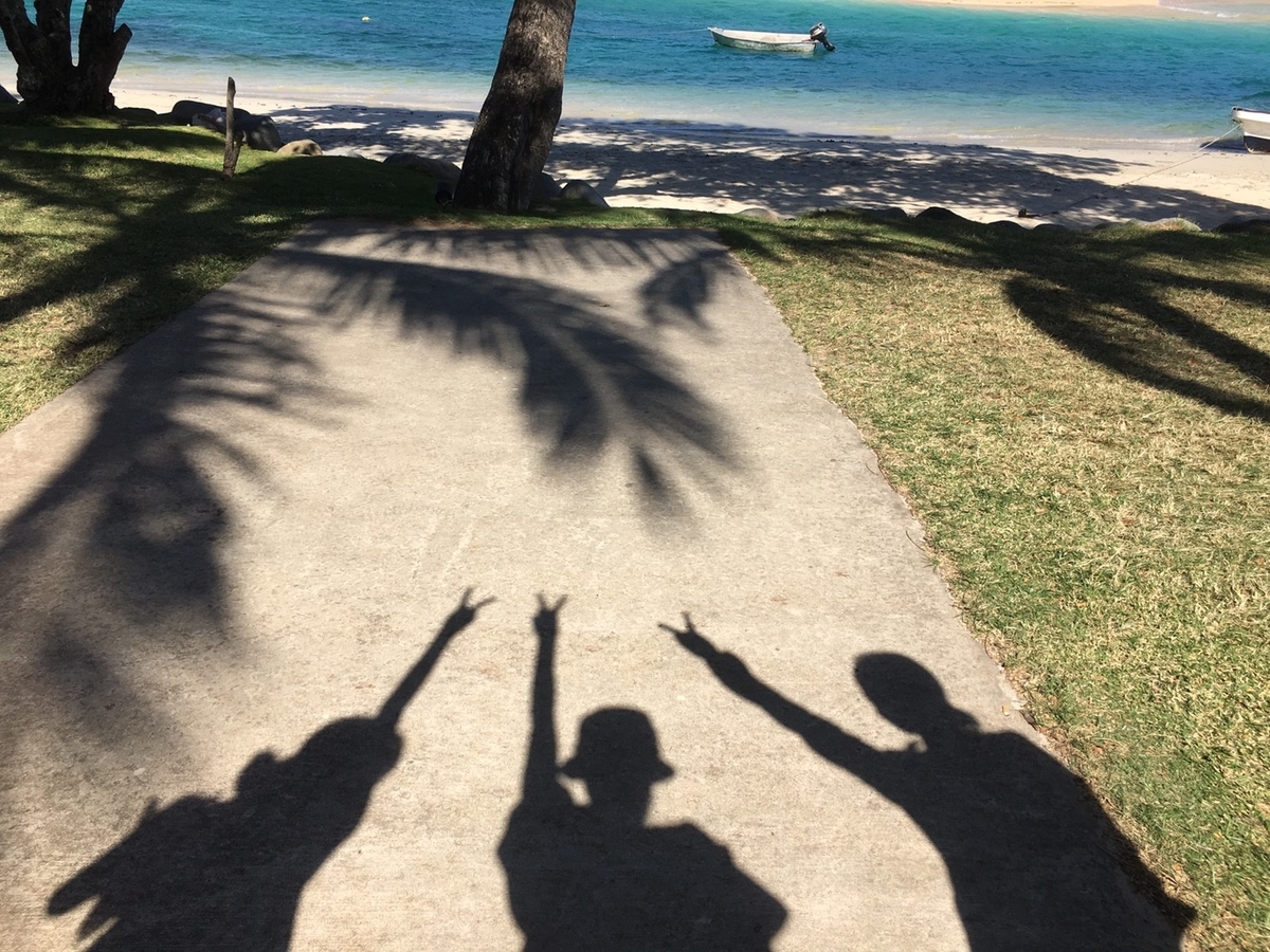 f:id:carol-Yuzu:20190623103819j:plain