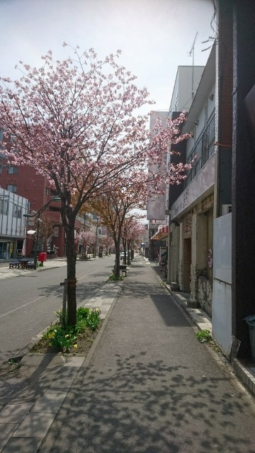 f:id:carol14yi:20190508142057j:image