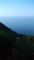 20100721164618