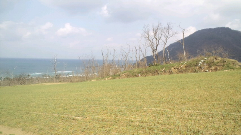 20120303120613