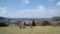 20120414134530