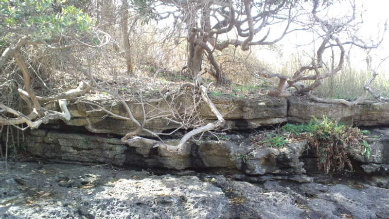 f:id:carol20goldenhits:20120421130151j:image