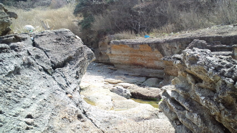 f:id:carol20goldenhits:20120421130426j:image