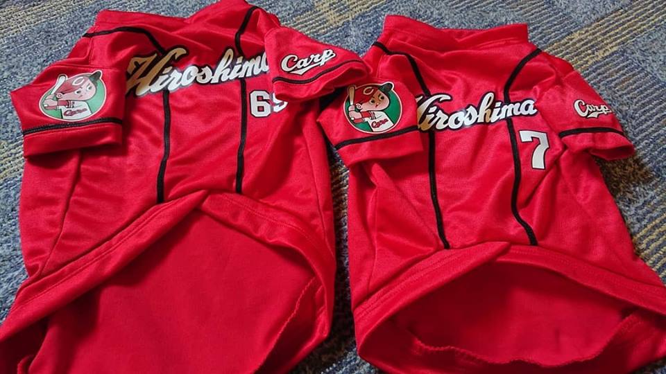 f:id:carp2019:20190314151635j:plain