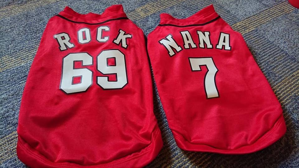 f:id:carp2019:20190314151829j:plain