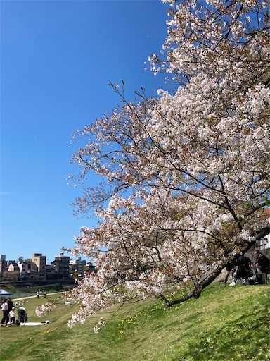 f:id:carp55kousaka272:20260412134250j:image