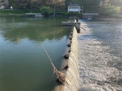 f:id:carp55kousaka272:20260416193116j:image