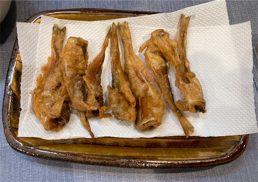 f:id:carp55kousaka272:20260430124954j:image