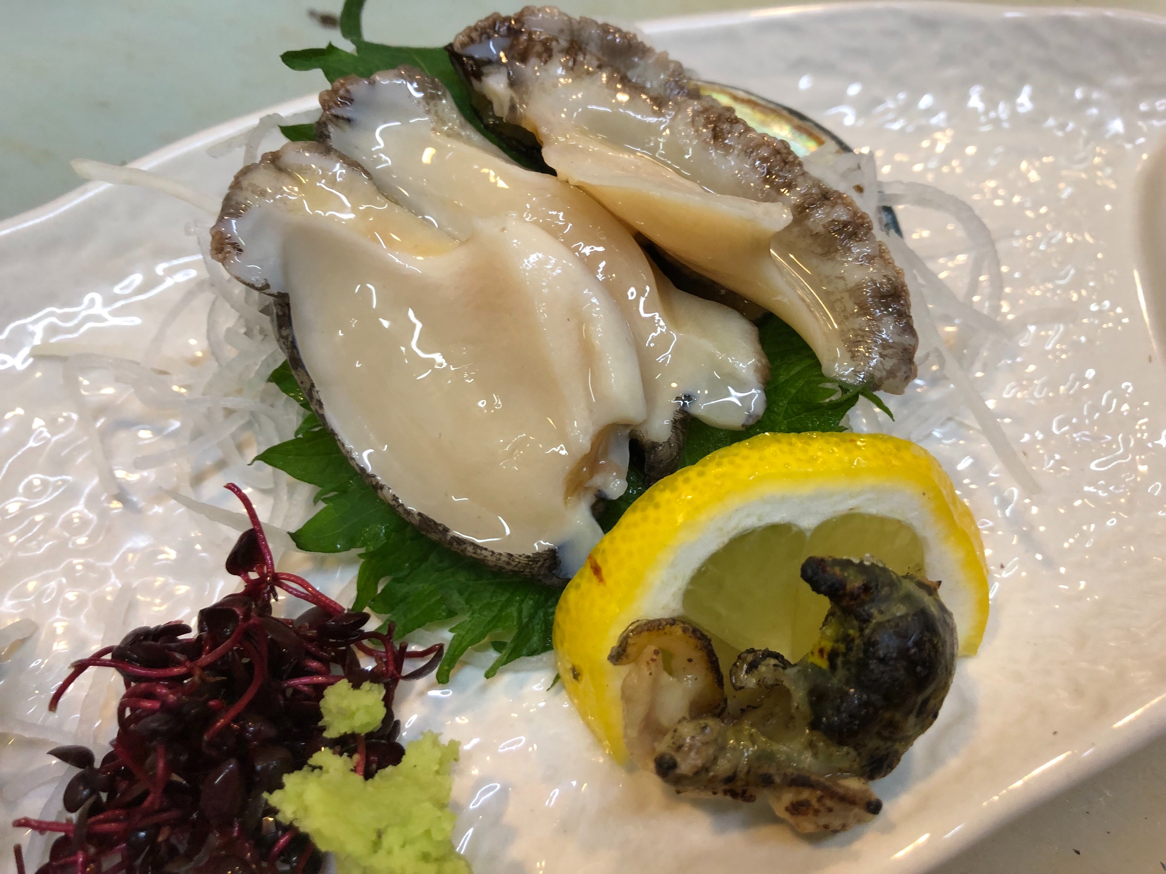 活あわび・サヨリ入荷 - (新)大阪富田林寿司居酒屋【すし広】のブログ