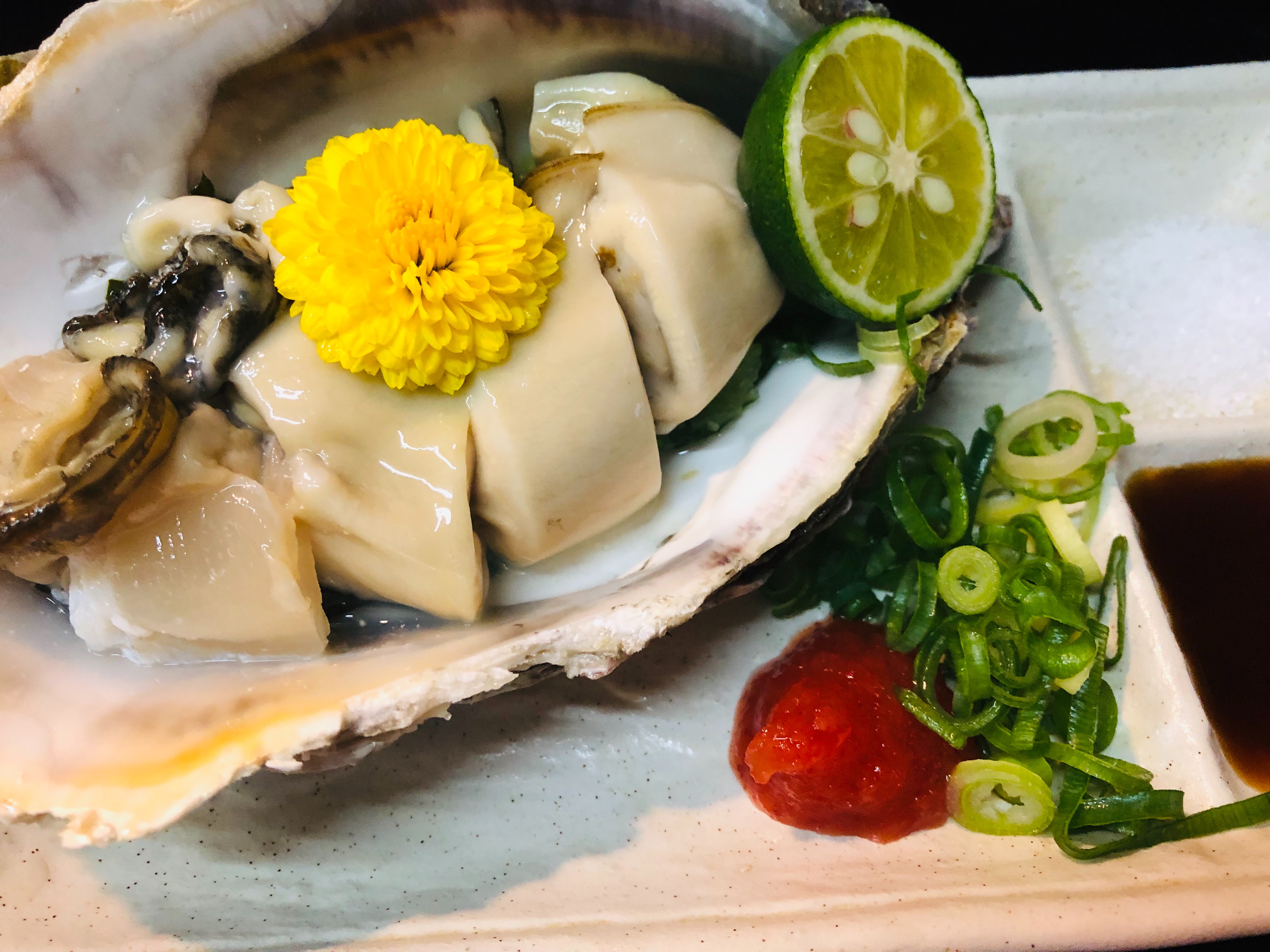 f:id:carp_0301_kenta:20210313130125j:image f:id:carp_0301_kenta:20210313130125j:image