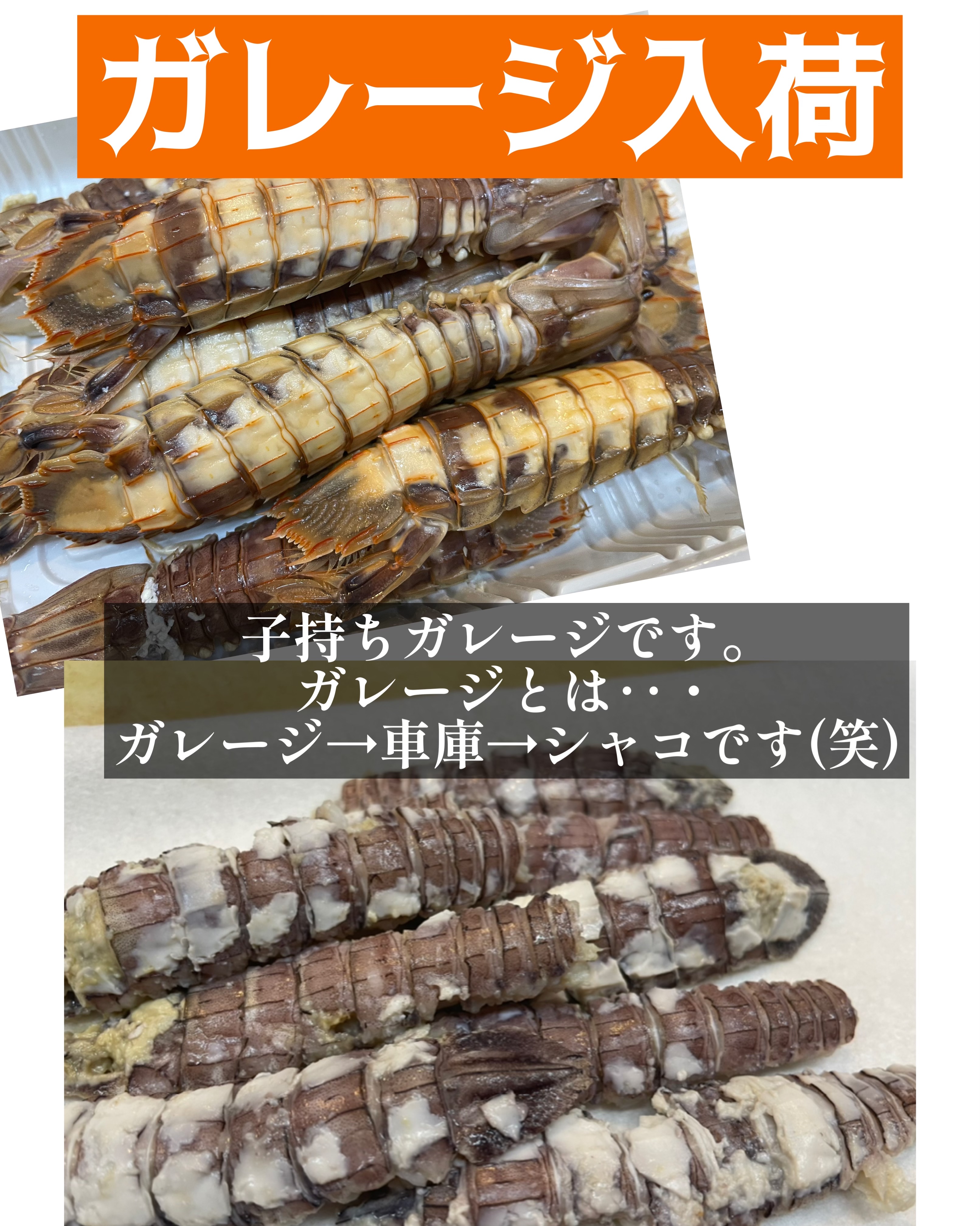 ガレージ入荷 - (新)大阪富田林寿司居酒屋【すし広】のブログ