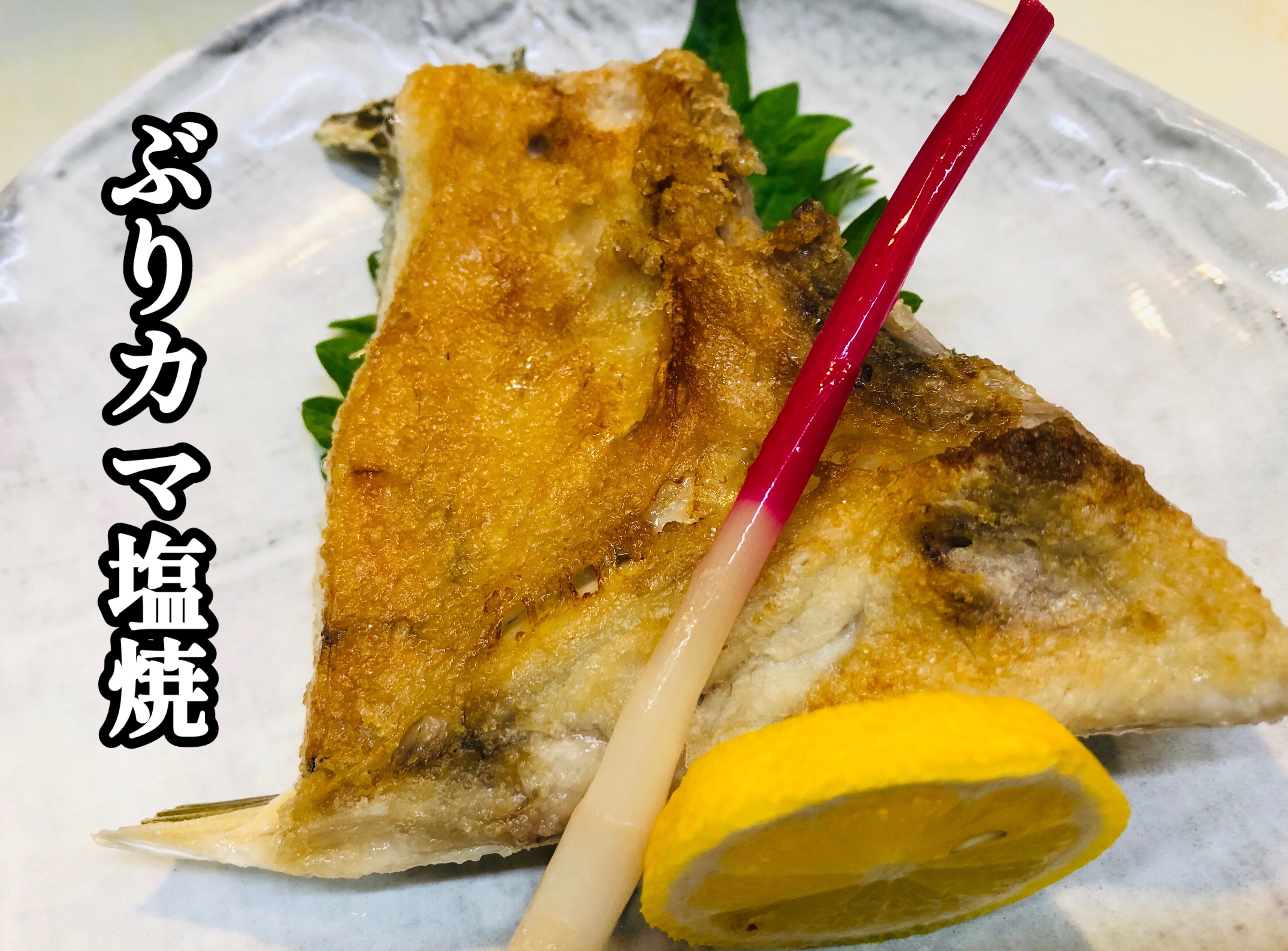 f:id:carp_0301_kenta:20241005161510j:image f:id:carp_0301_kenta:20241005161510j:image