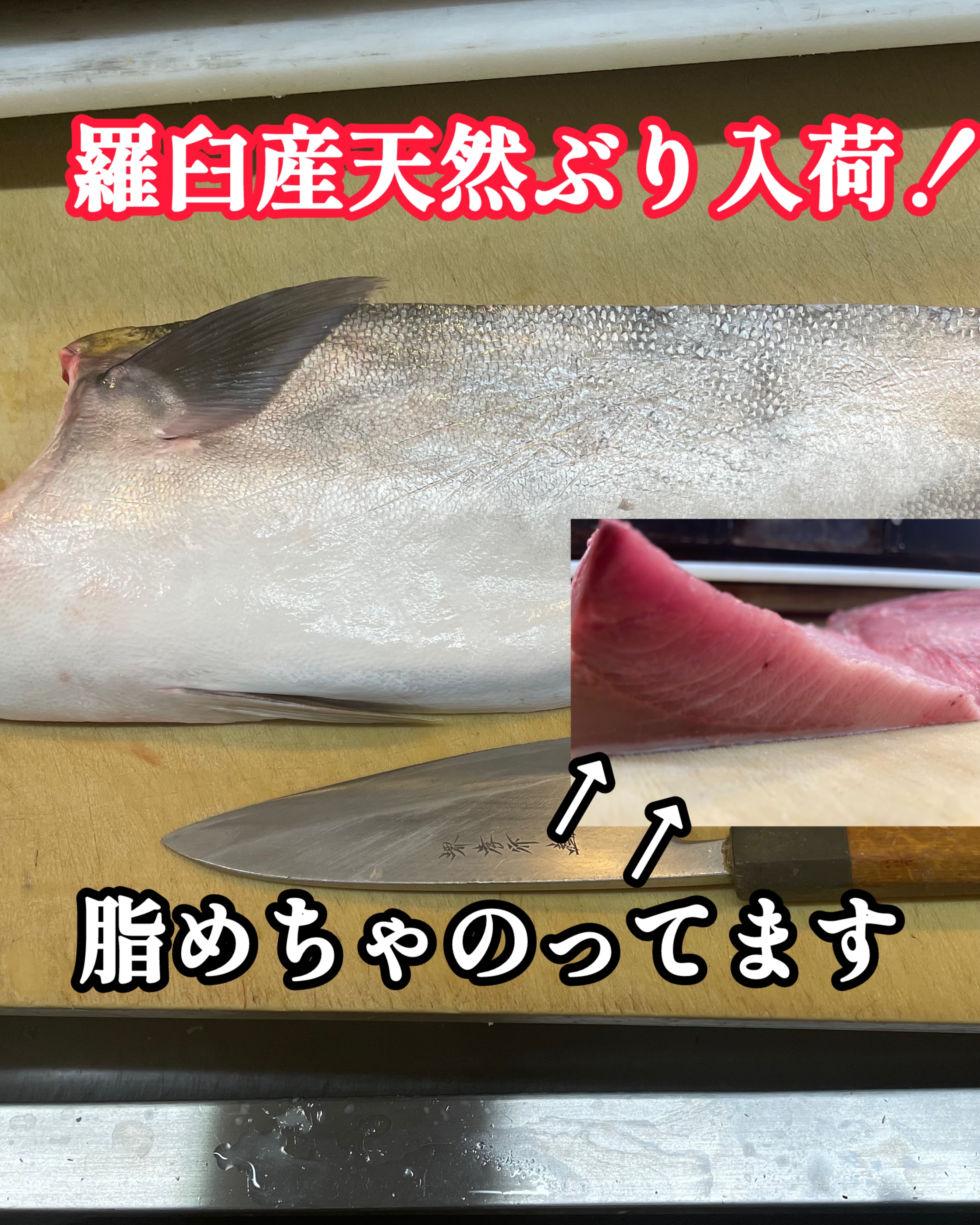 f:id:carp_0301_kenta:20241005161518j:image f:id:carp_0301_kenta:20241005161518j:image