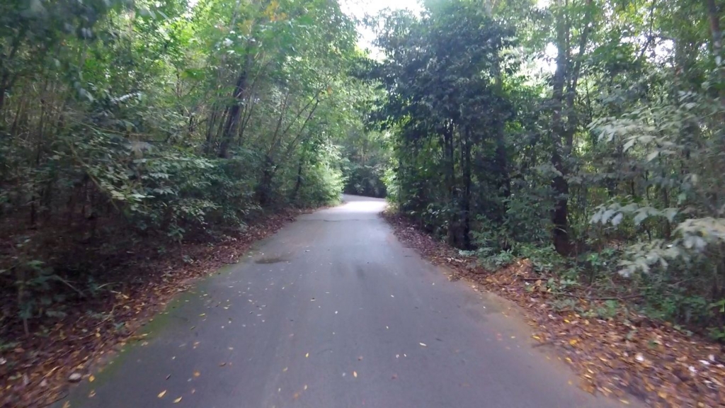 f:id:carpediem_onk:20161127125918j:plain f:id:carpediem_onk:20161127125918j:plain