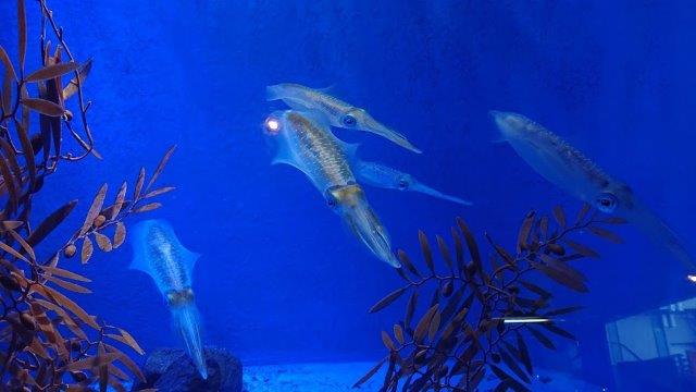 f:id:carpkeiji:20201027194346j:plain