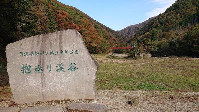 f:id:carpkeiji:20201028182607j:plain