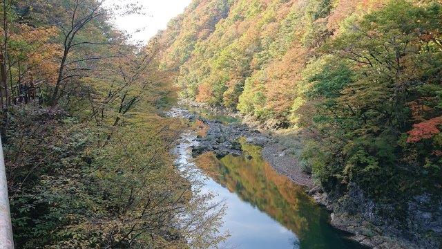f:id:carpkeiji:20201028183043j:plain