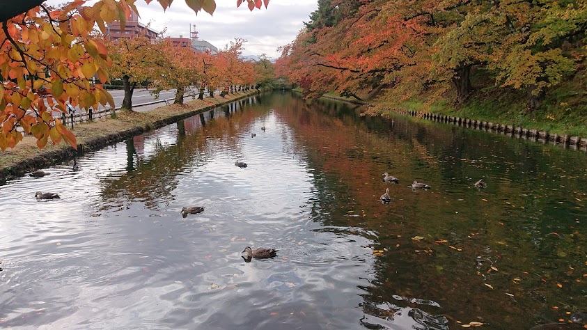 f:id:carpkeiji:20201031165627j:plain f:id:carpkeiji:20201031165627j:plain