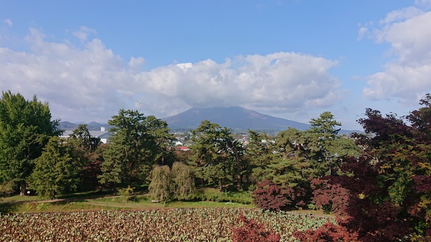 f:id:carpkeiji:20201031171023j:plain f:id:carpkeiji:20201031171023j:plain