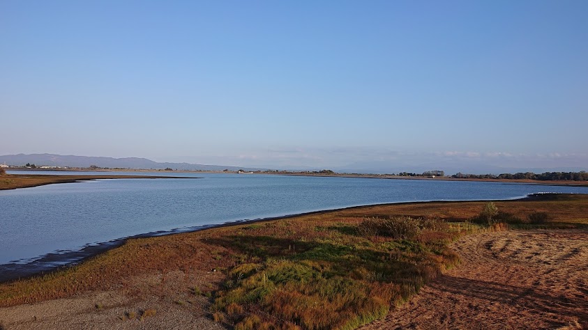 f:id:carpkeiji:20201031172506j:plain f:id:carpkeiji:20201031172506j:plain