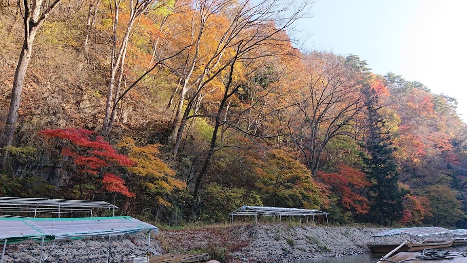 f:id:carpkeiji:20201108155847j:plain f:id:carpkeiji:20201108155847j:plain