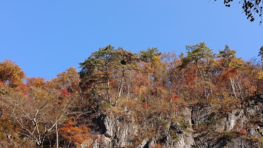 f:id:carpkeiji:20201108160033j:plain f:id:carpkeiji:20201108160033j:plain