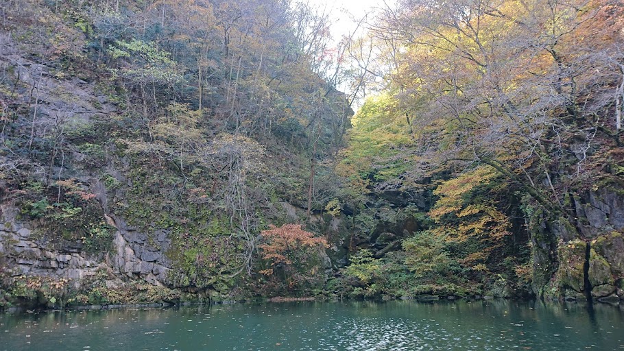 f:id:carpkeiji:20201108160144j:plain f:id:carpkeiji:20201108160144j:plain