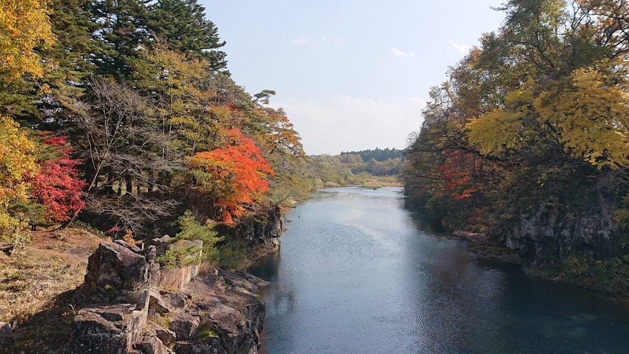 f:id:carpkeiji:20201108162309j:plain f:id:carpkeiji:20201108162309j:plain