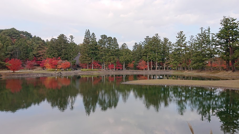 f:id:carpkeiji:20201108162759j:plain f:id:carpkeiji:20201108162759j:plain