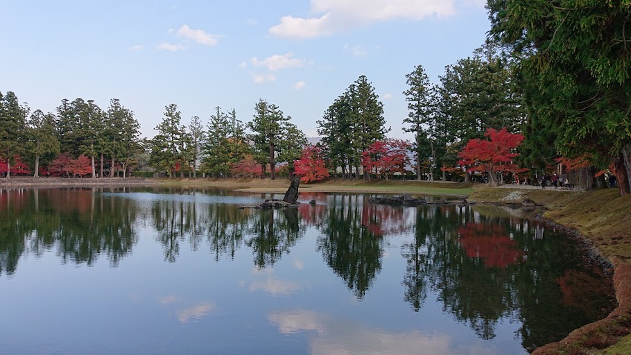 f:id:carpkeiji:20201108162808j:plain f:id:carpkeiji:20201108162808j:plain