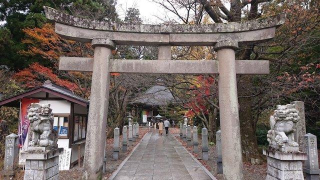 f:id:carpkeiji:20201111174834j:plain f:id:carpkeiji:20201111174834j:plain