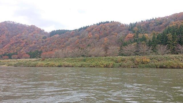 f:id:carpkeiji:20201113164232j:plain