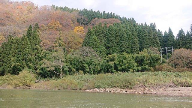f:id:carpkeiji:20201113164302j:plain