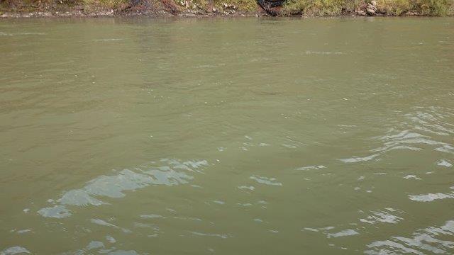 f:id:carpkeiji:20201113164305j:plain